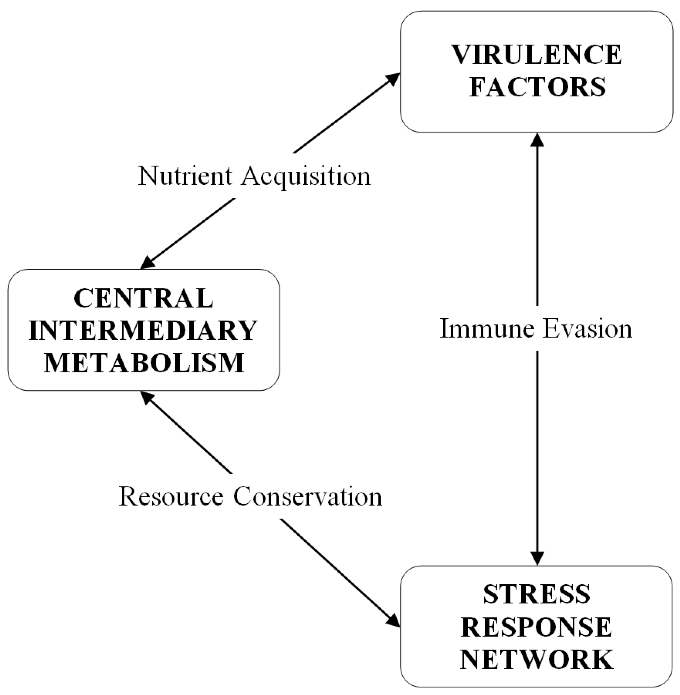 Antibiotics 04 00076 g003