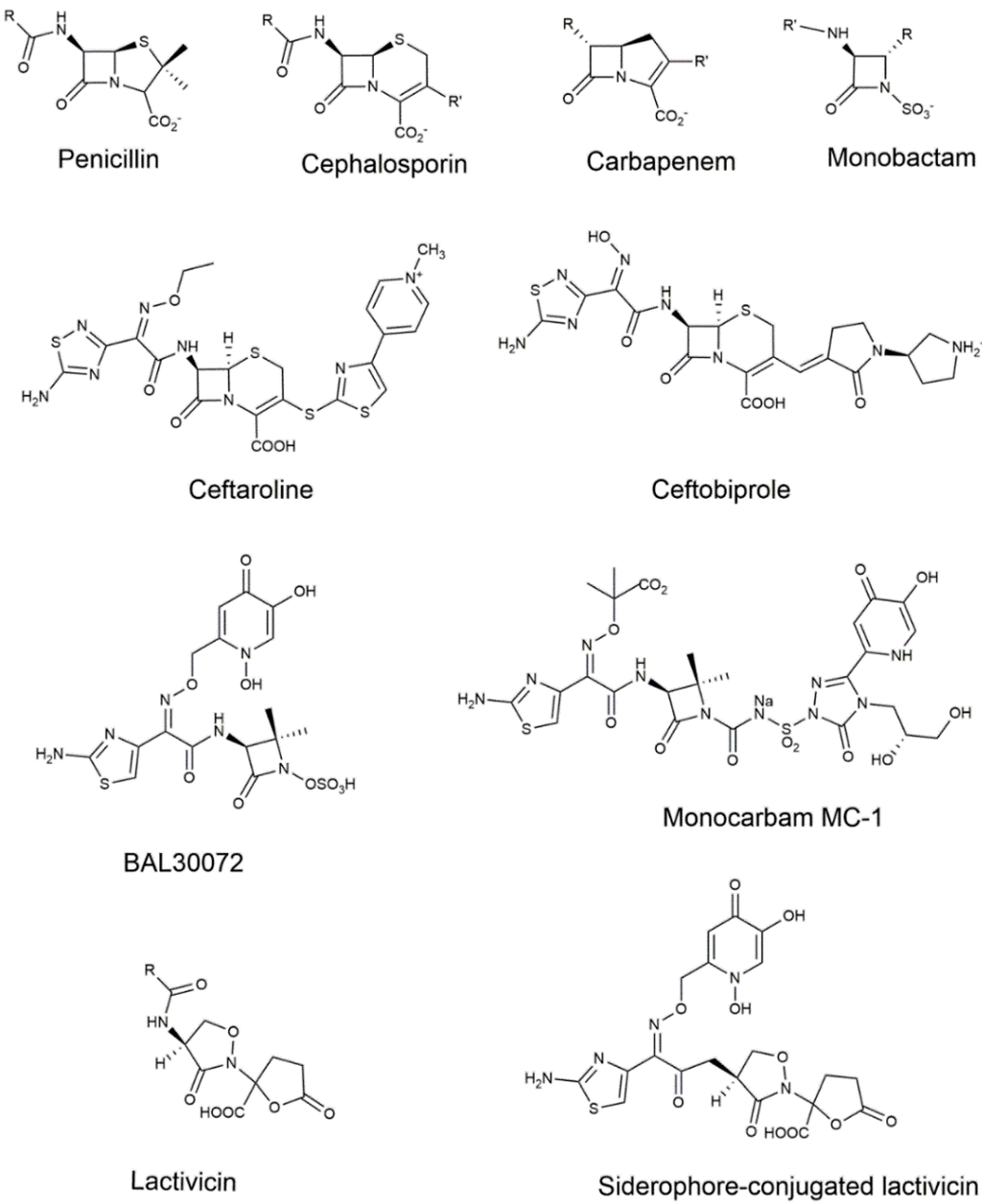 download Les nanoparticules