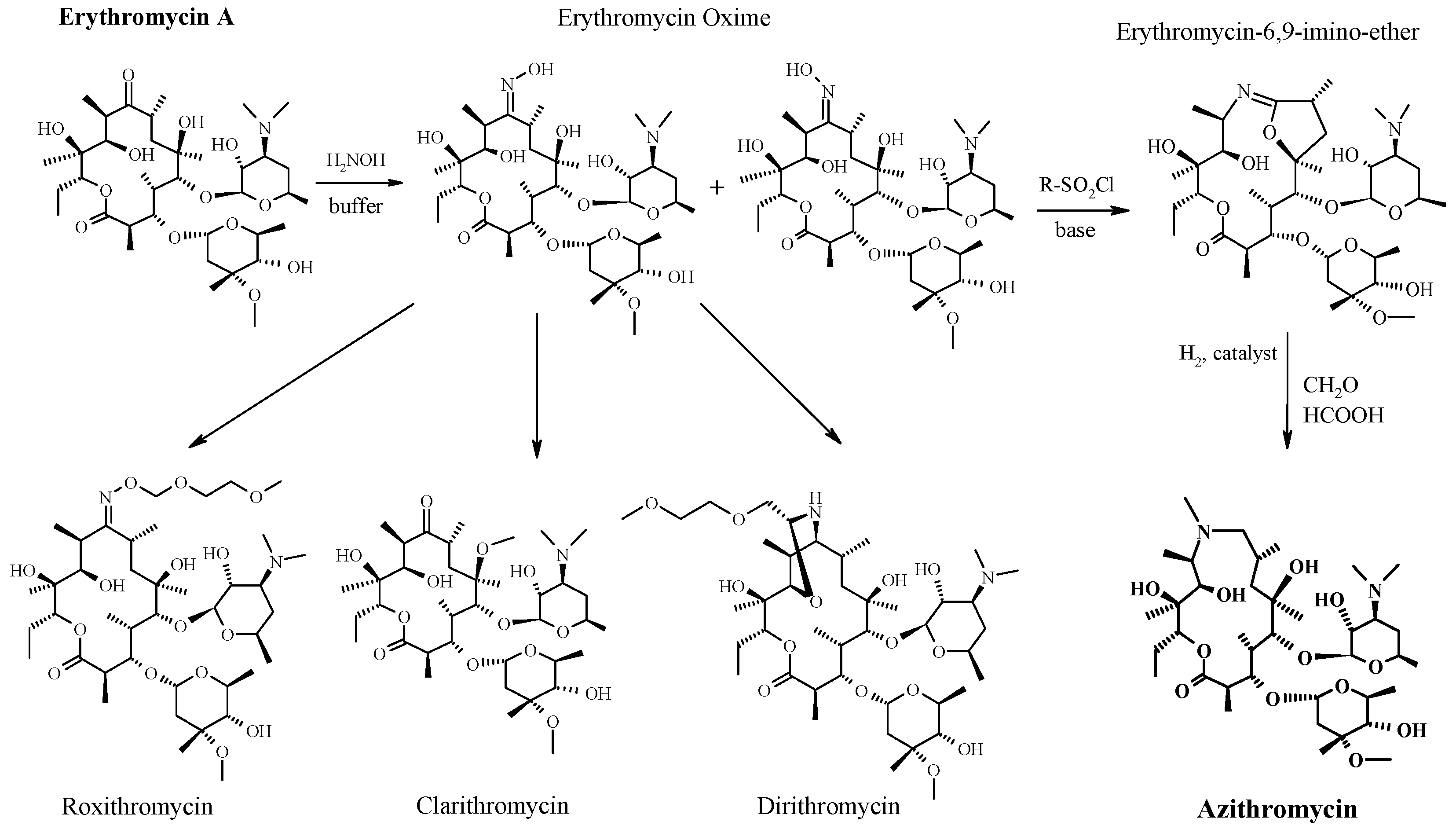 dalacin c formula