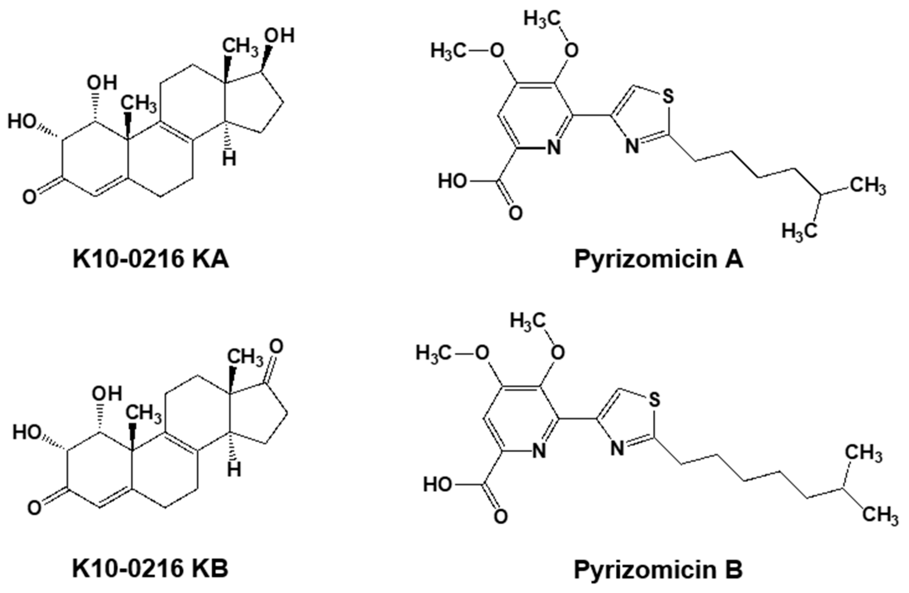 Antibiotics 07 00045 g005
