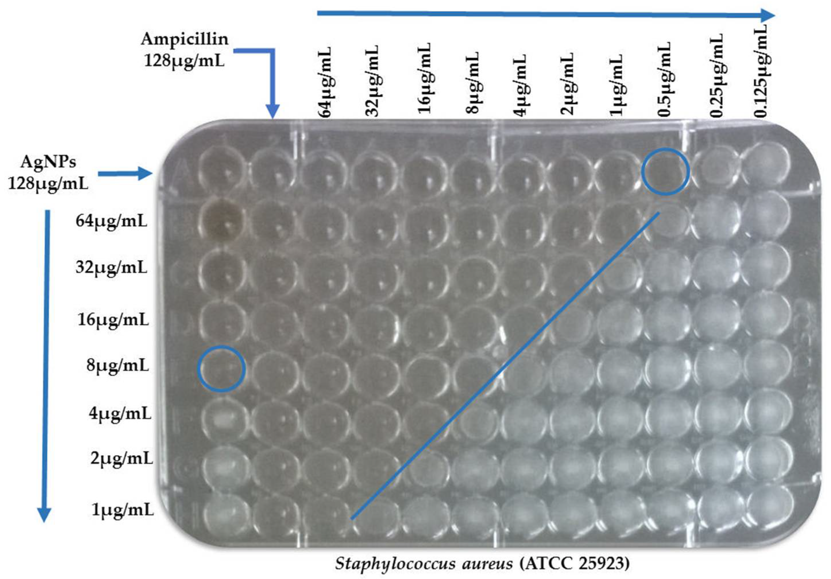 Antibiotics 07 00050 g004