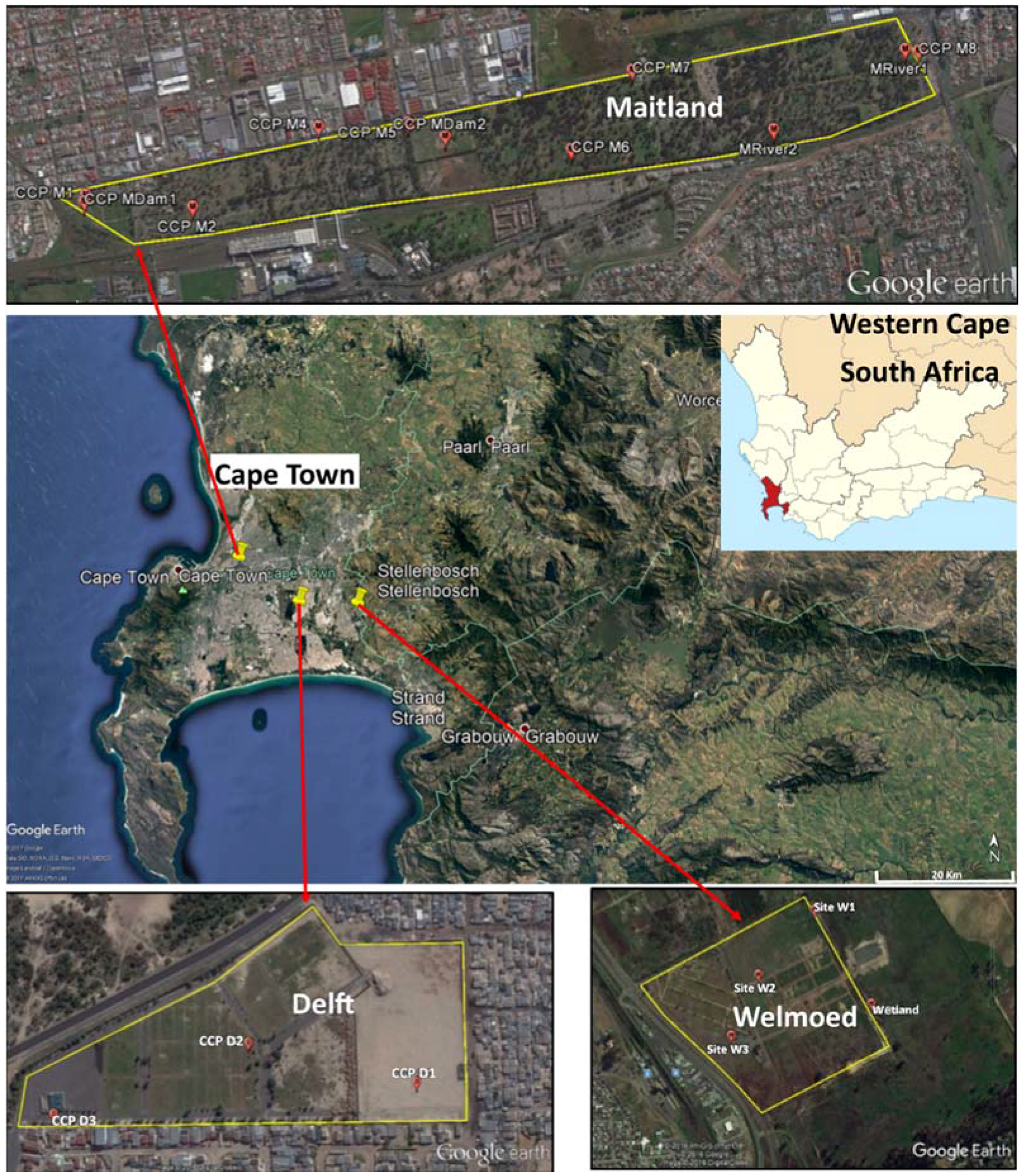 Antibiotics 07 00073 g002