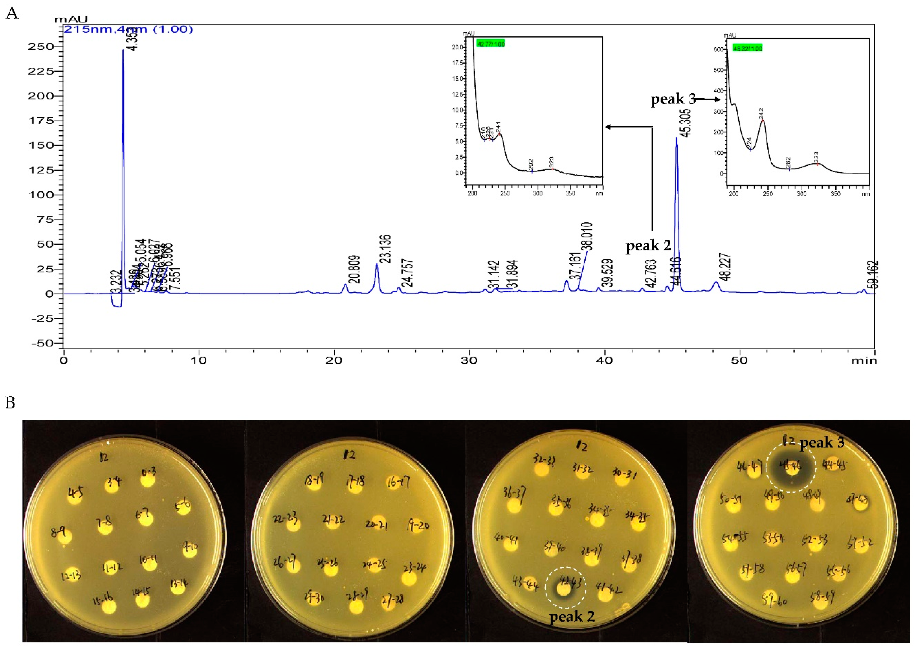 Antibiotics 08 00236 g005