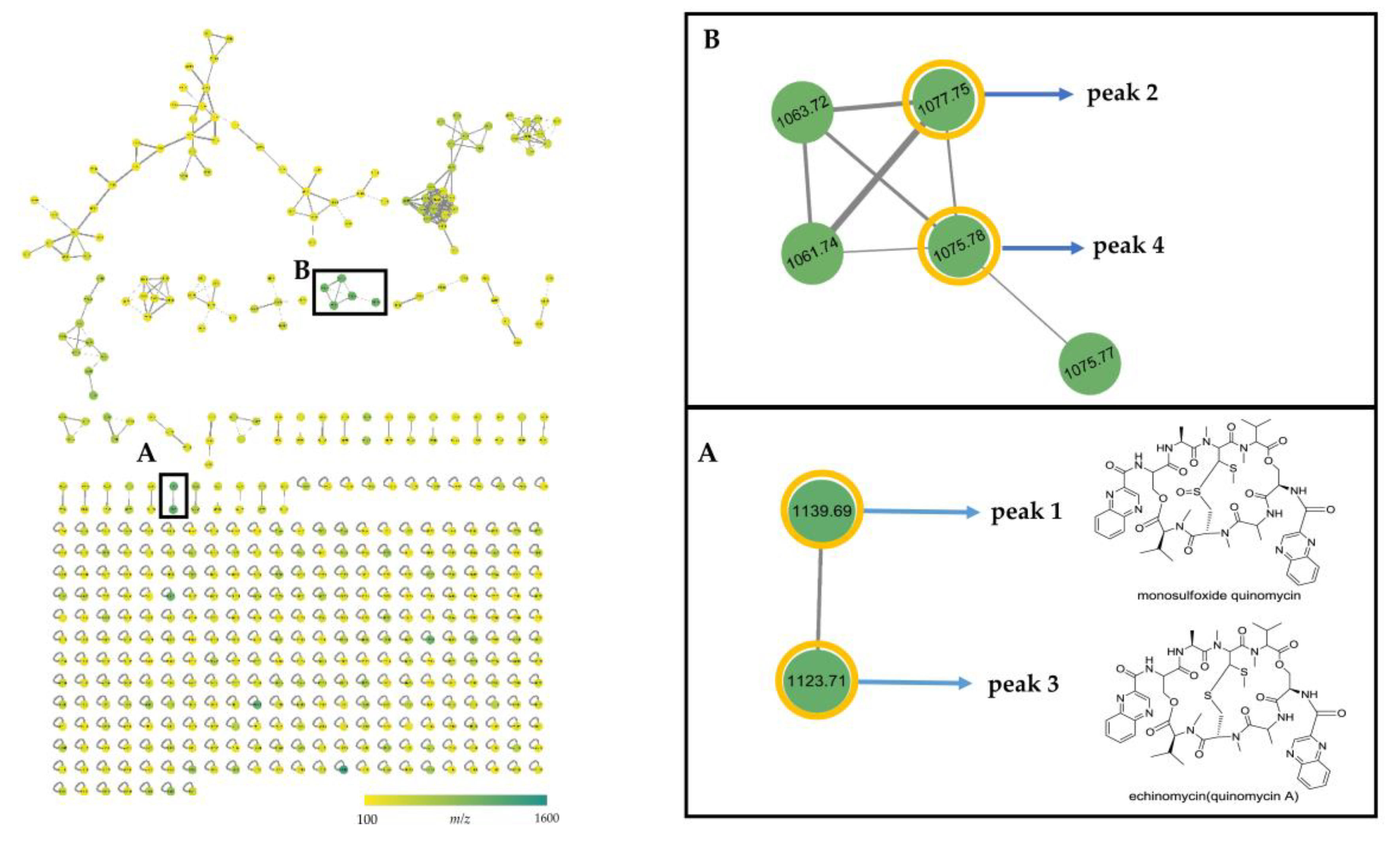 Antibiotics 08 00236 g008