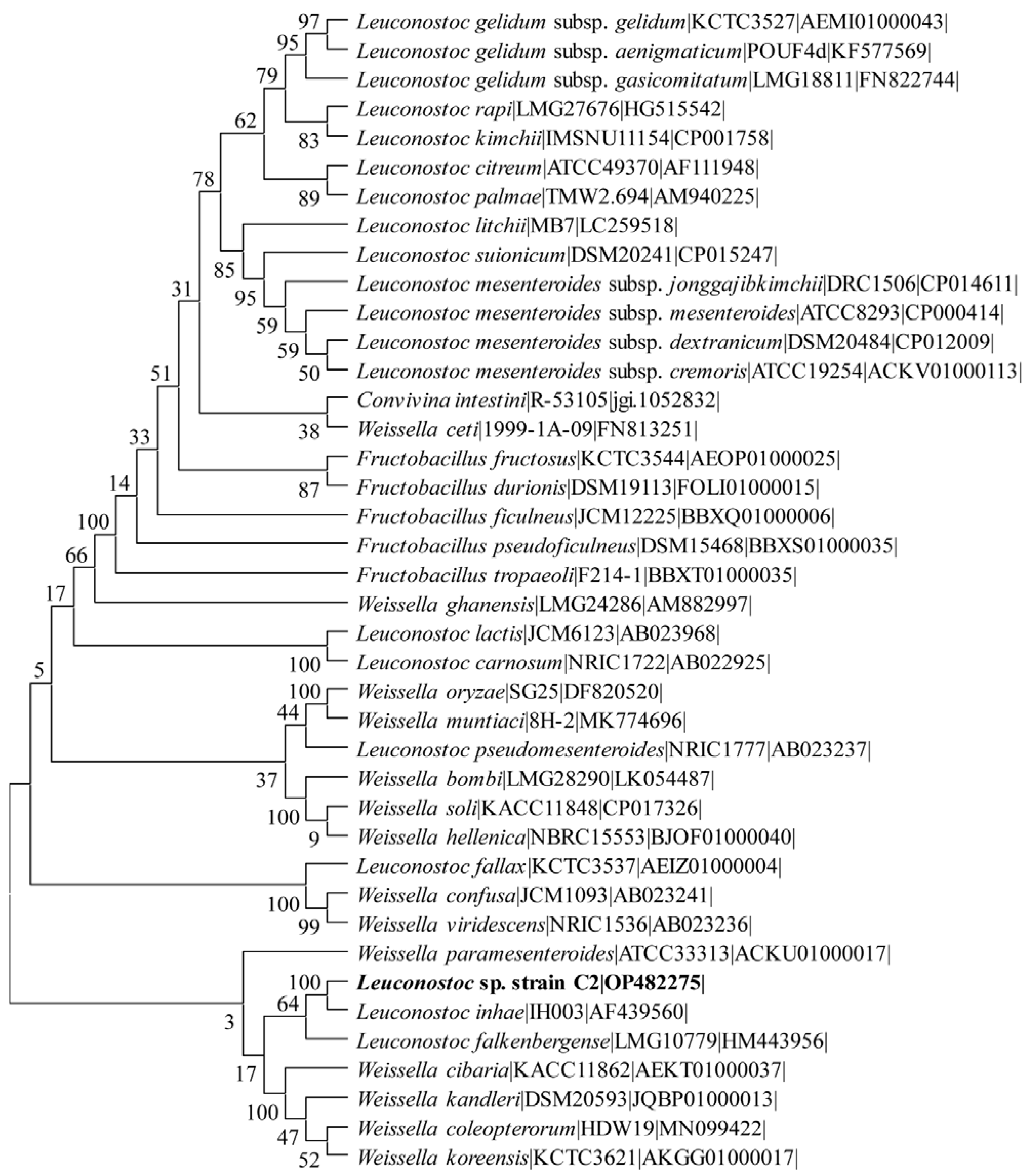Antibiotics 11 01524 g001