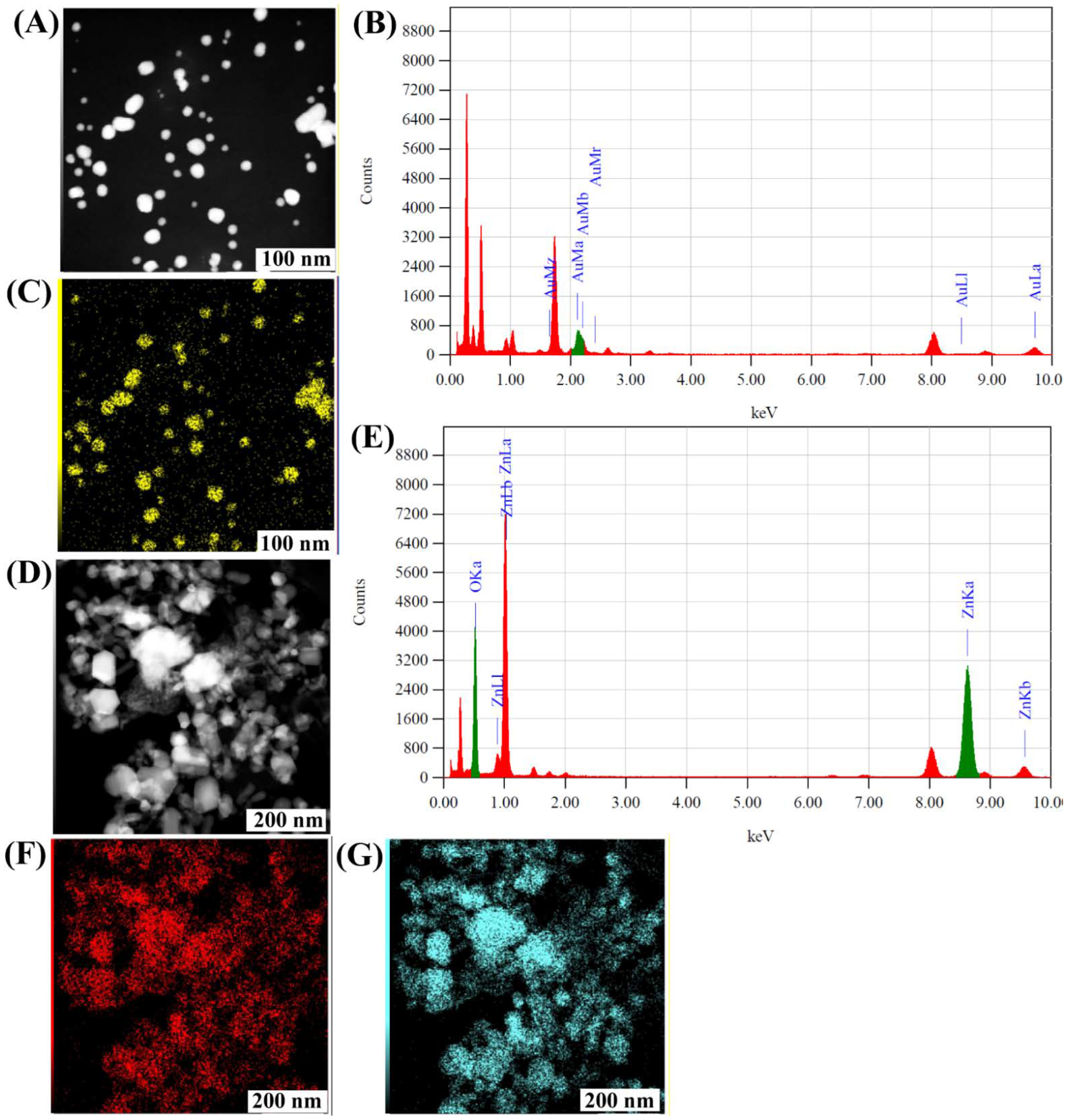 Antibiotics 11 01524 g005