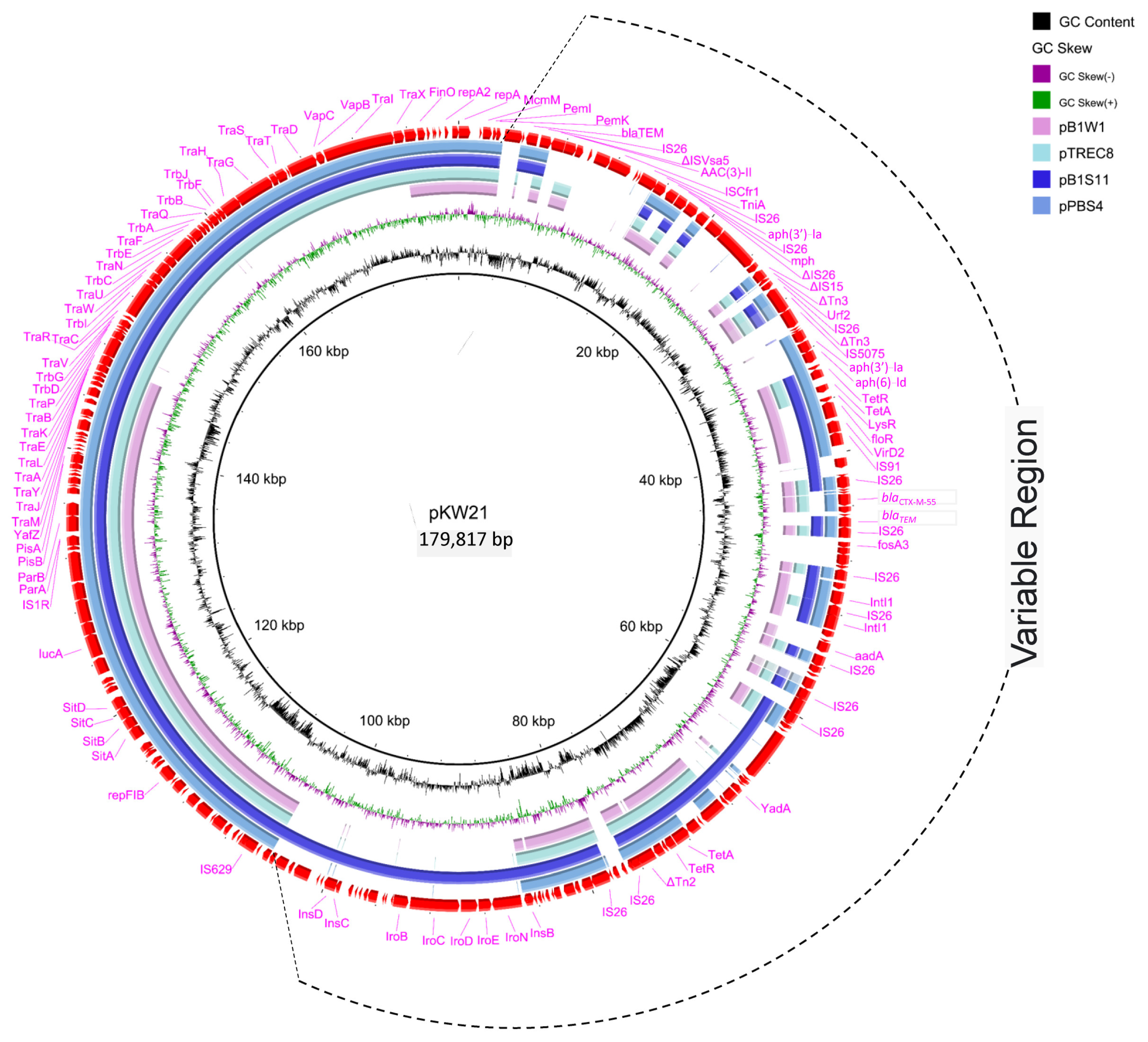 Antibiotics 12 00961 g002