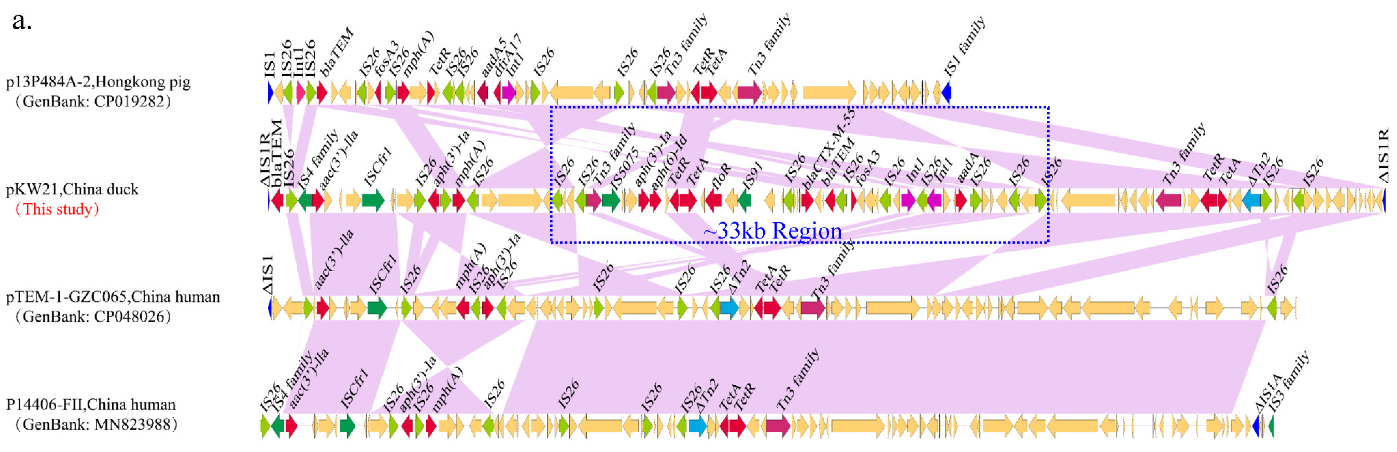 Antibiotics 12 00961 g003a
