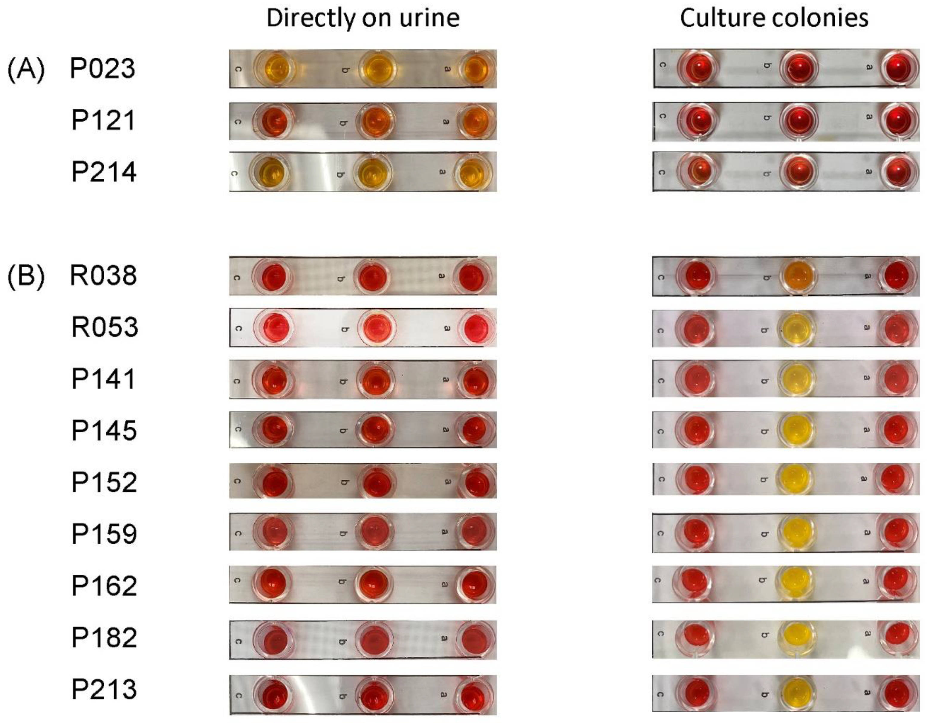 Antibiotics 12 01585 g003
