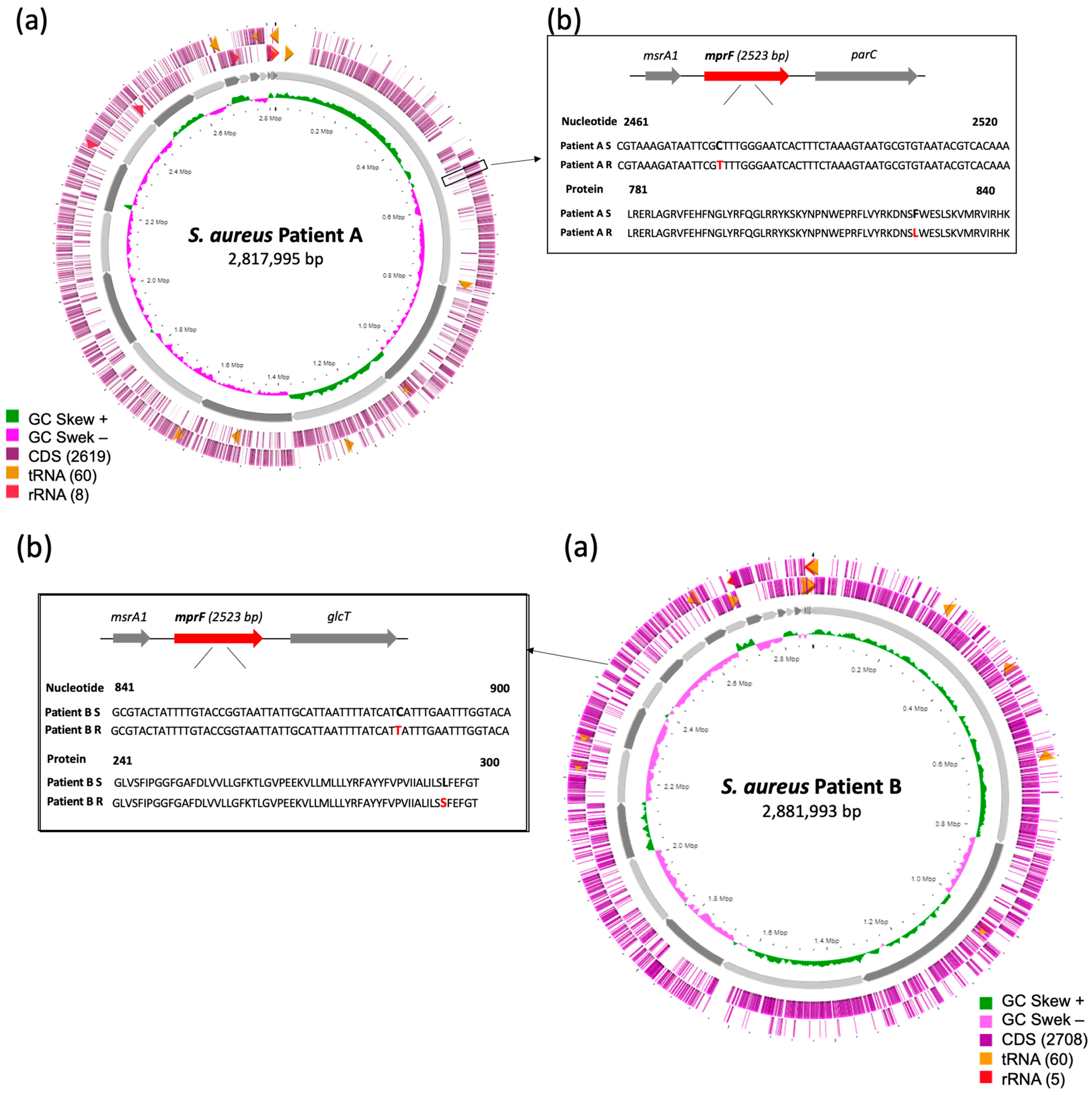 Antibiotics 12 01647 g001