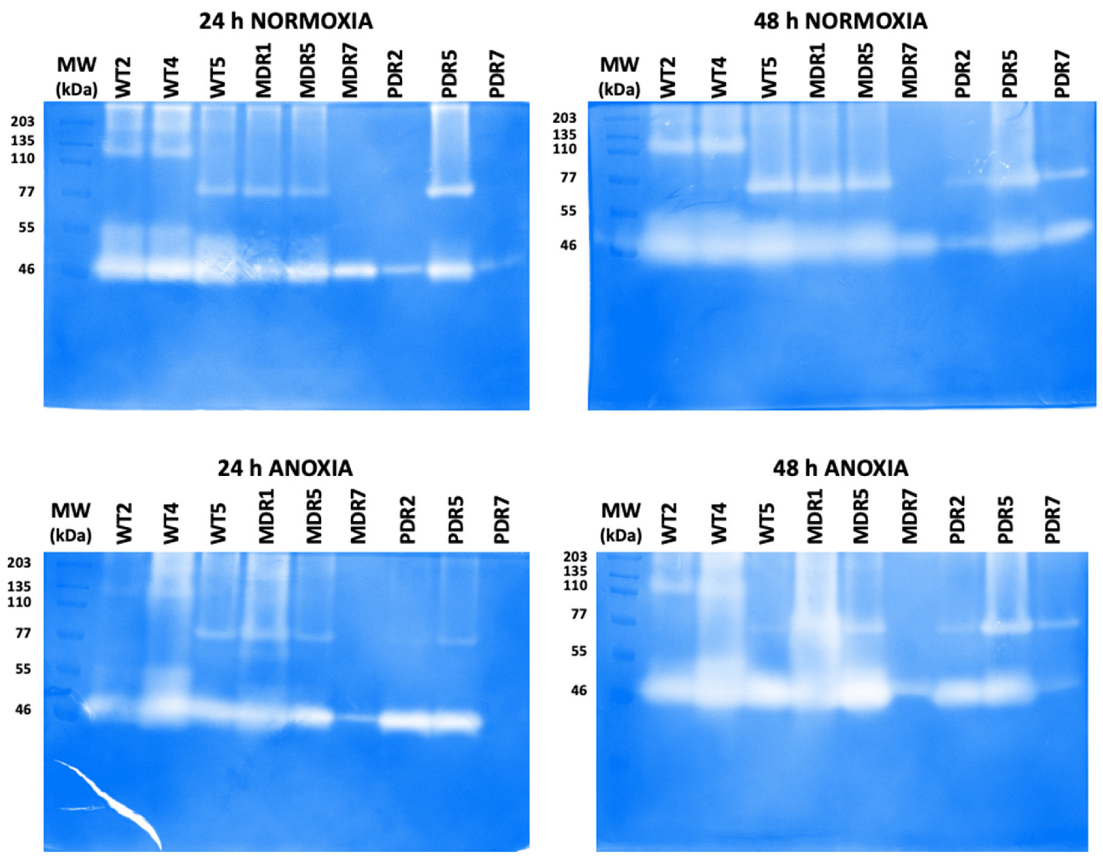 Antibiotics 13 00001 g005