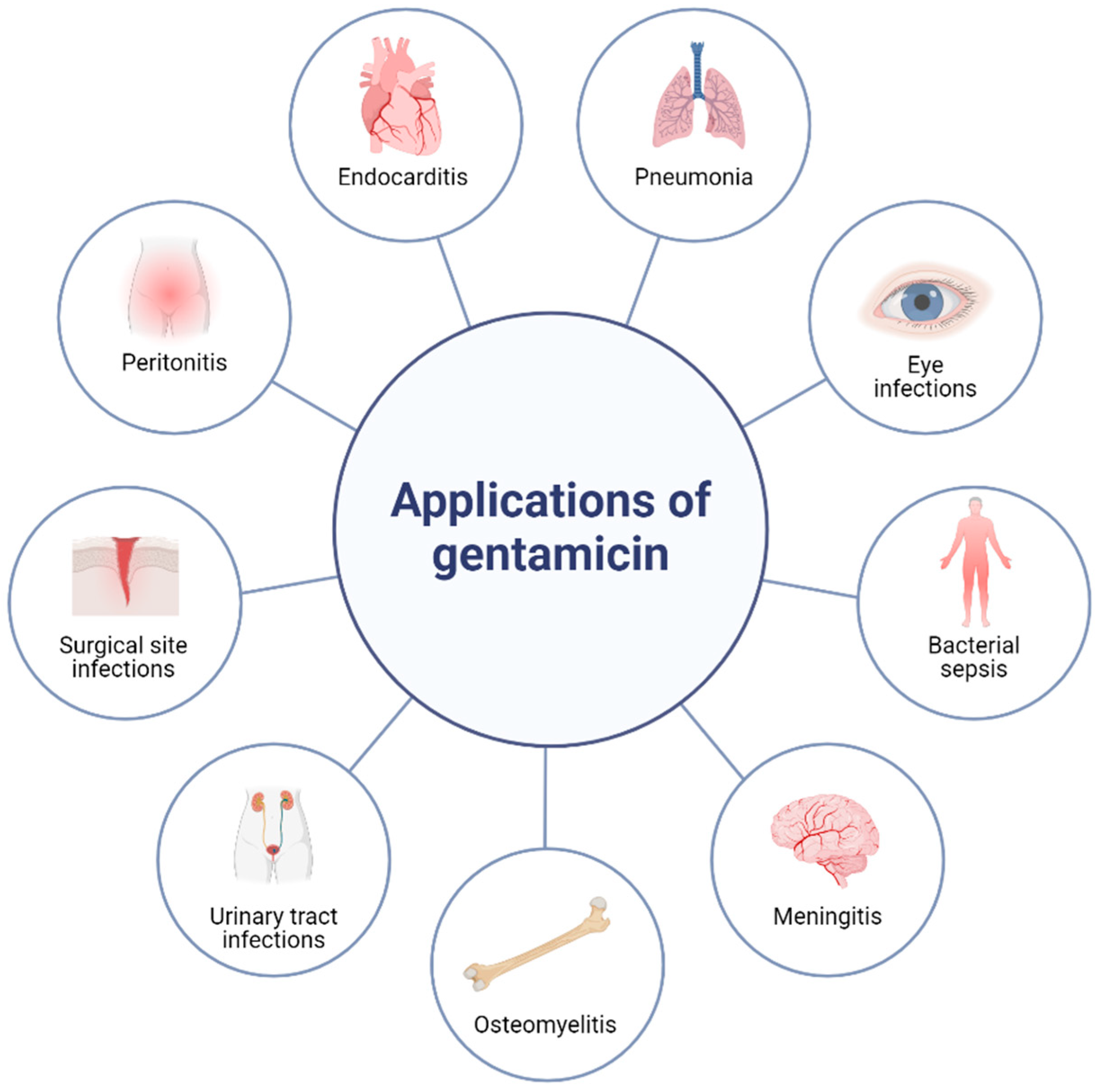 Antibiotics 13 00305 g001