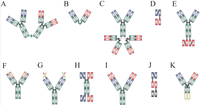 Antibodies 01 00002 g001 200