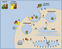 Antibodies 01 00039 g002 200