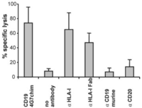 Antibodies 01 00088 g002 200