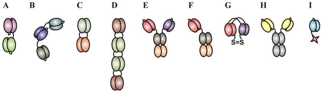 Antibodies 01 00088 g003 1024