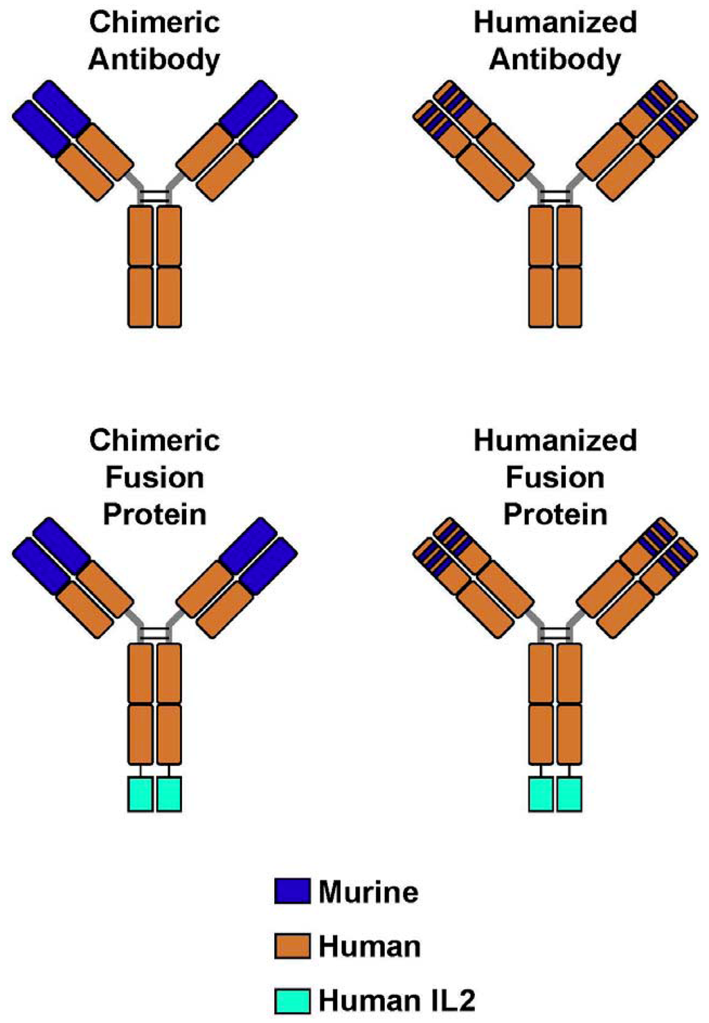Antibodies 01 00149 g001 1024