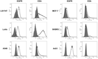 Antibodies 01 00199 g001 200