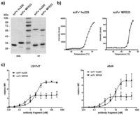 Antibodies 01 00199 g003 200