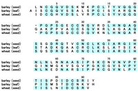 Antibodies 01 00259 g001 200
