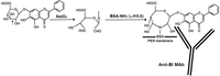 Antibodies 01 00284 g003 200