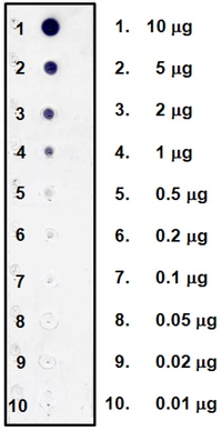 Antibodies 01 00284 g004 200