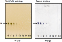 Antibodies 01 00284 g005 200