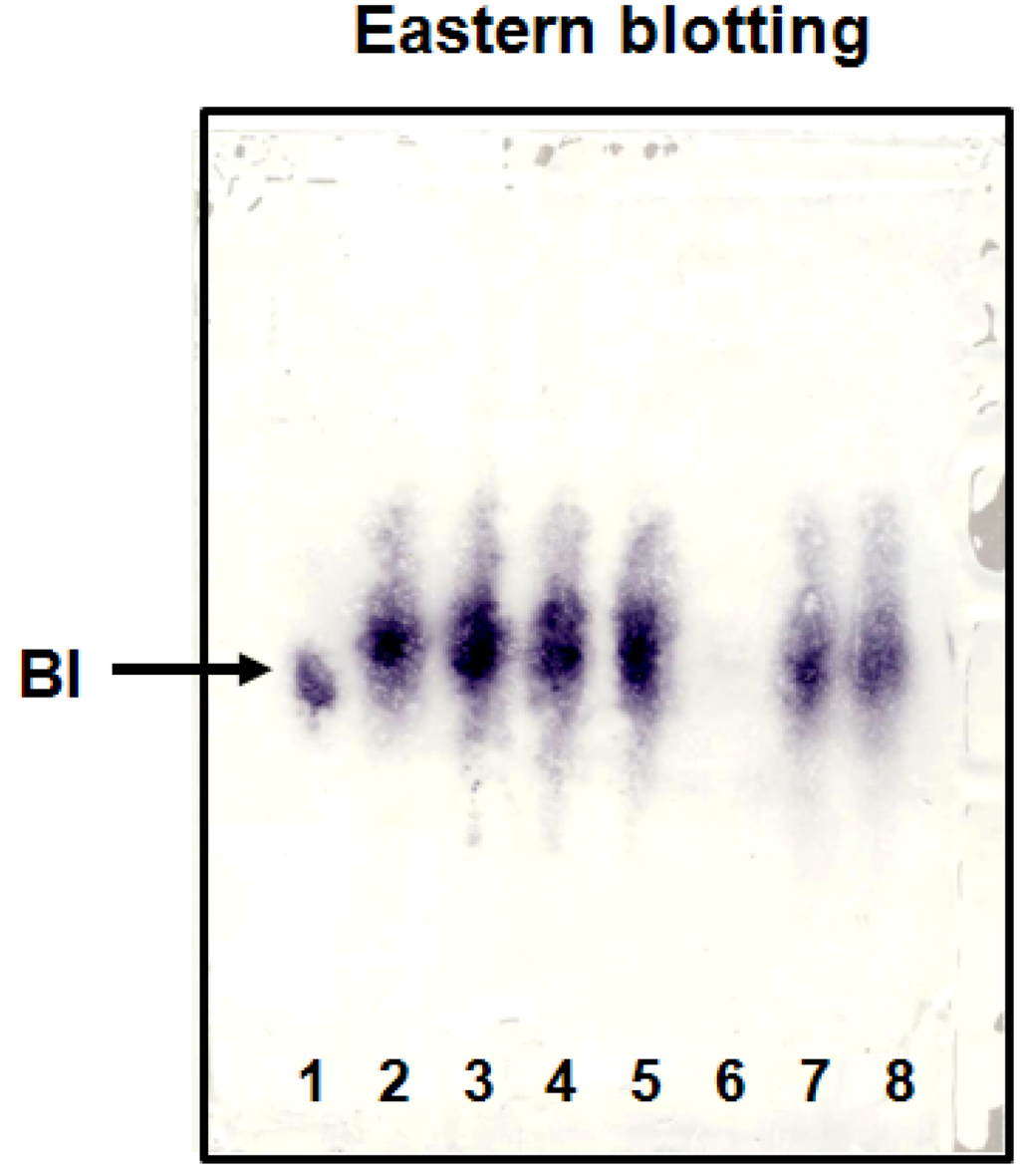 Antibodies 01 00284 g006 1024
