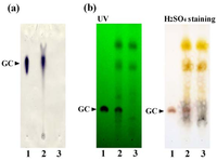Antibodies 01 00294 g005 200