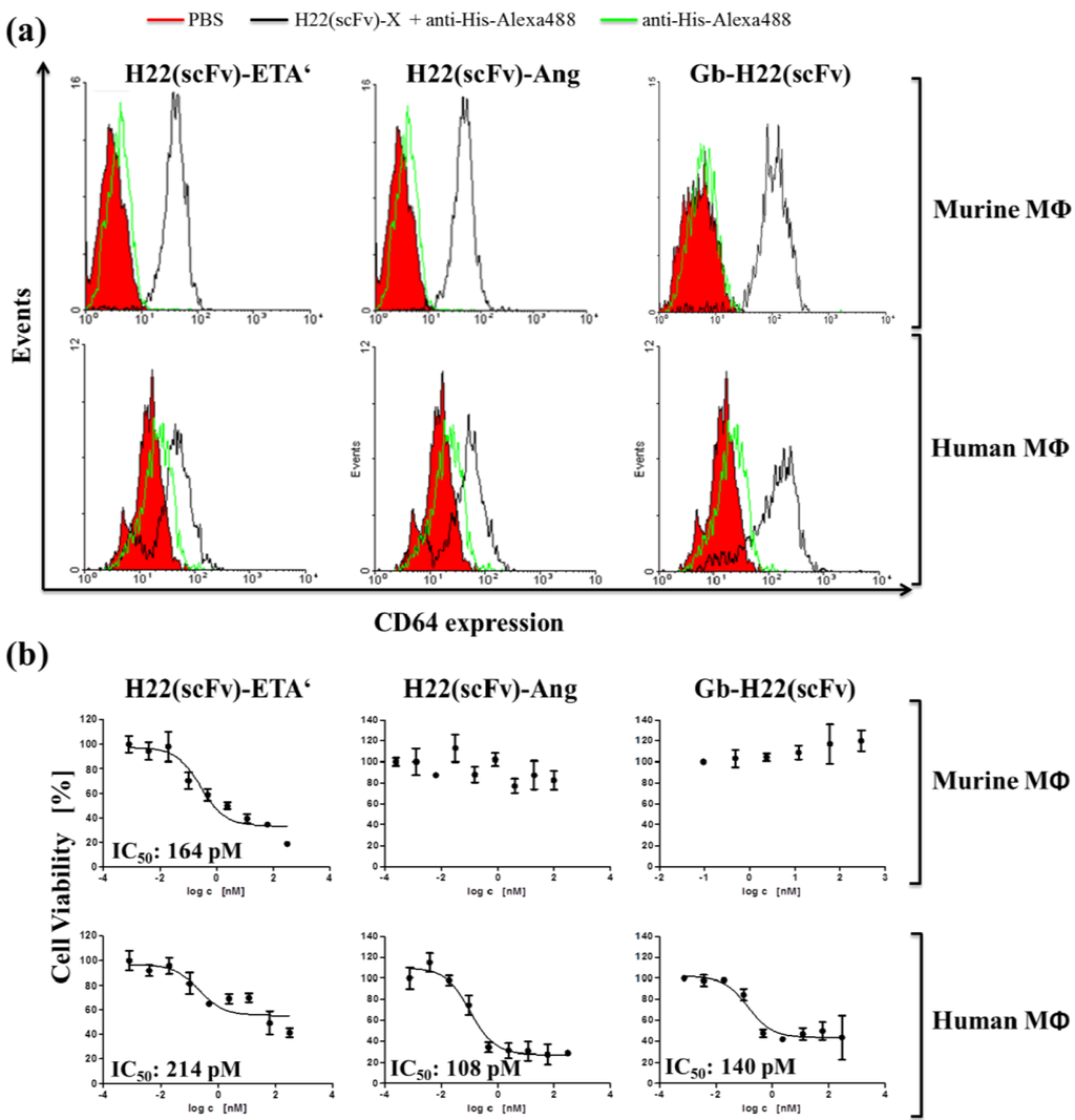Antibodies 02 00009 g002 1024