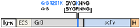 Antibodies 02 00019 g001 200