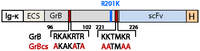 Antibodies 02 00019 g002 200