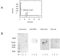 Antibodies 02 00050 g002 200