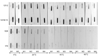 Antibodies 02 00066 g004 200