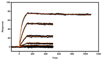 Antibodies 02 00066 g008 200