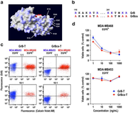 Antibodies 02 00130 g003 200