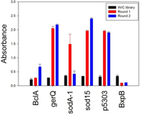 Antibodies 02 00152 g002 200