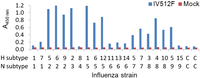 Antibodies 02 00168 g003 200