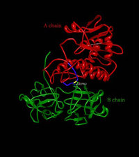 Antibodies 02 00236 g001 200