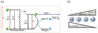Antibodies 02 00270 g004 200