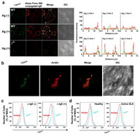 Antibodies 02 00321 g002 200