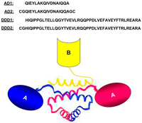 Antibodies 02 00353 g001 200