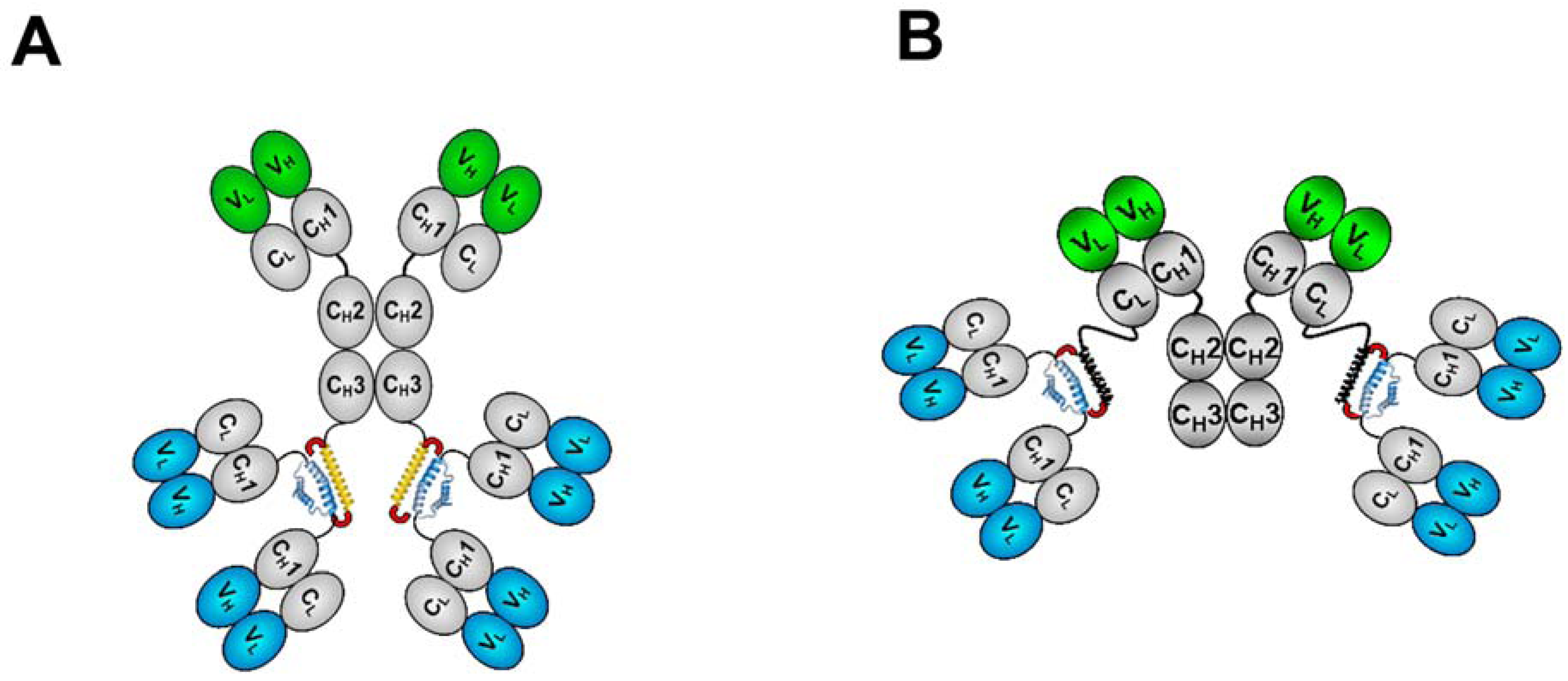 Antibodies 02 00353 g002