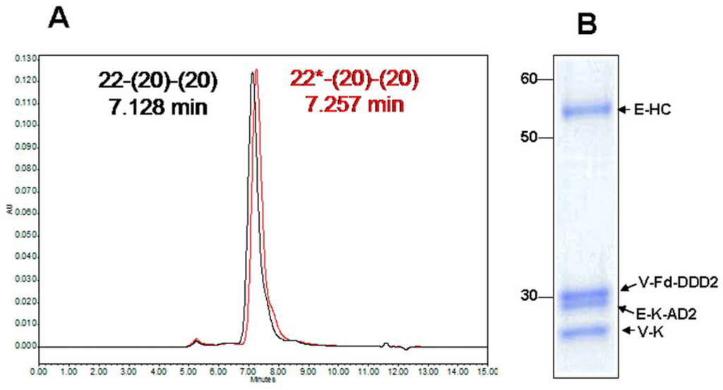 Antibodies 02 00353 g003 1024