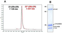 Antibodies 02 00353 g003 200