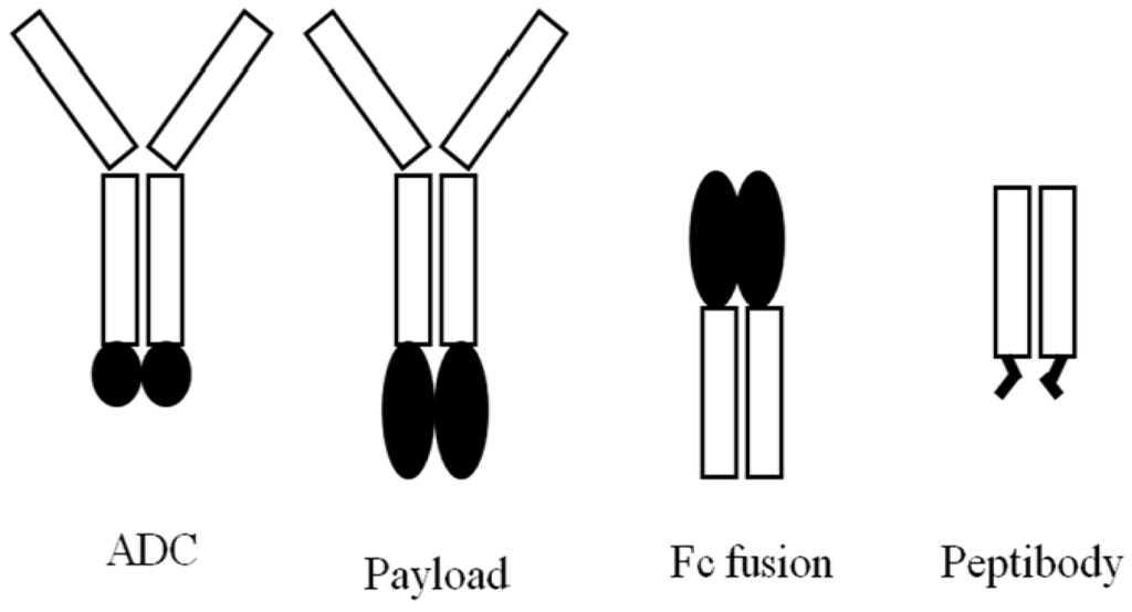 Antibodies 02 00452 g001 1024