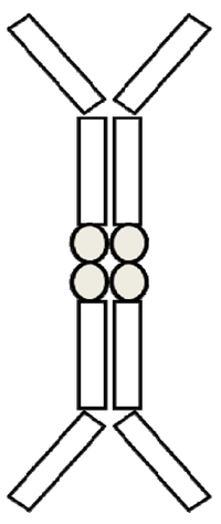Antibodies 02 00452 g003 200