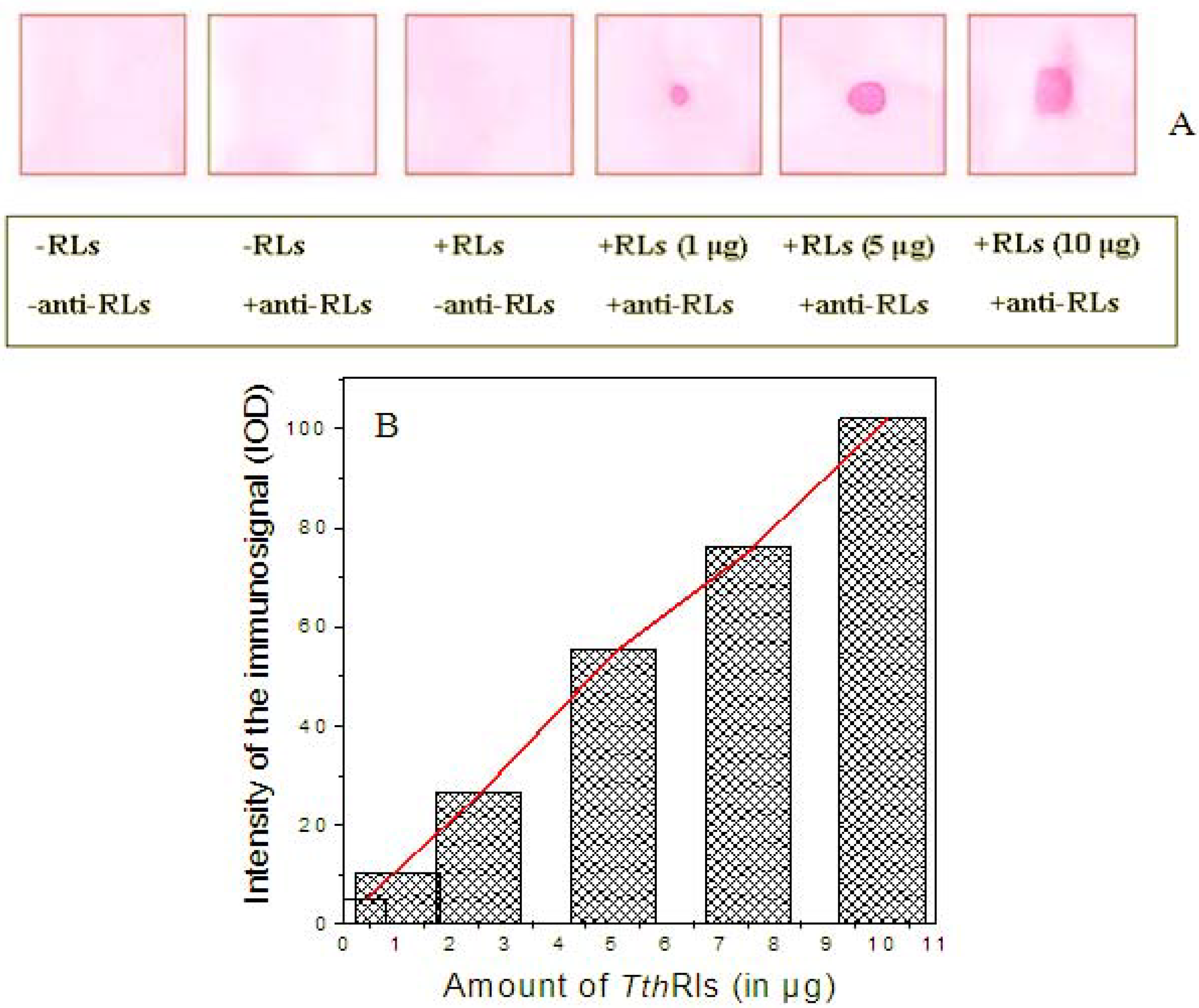 Antibodies 02 00501 g004