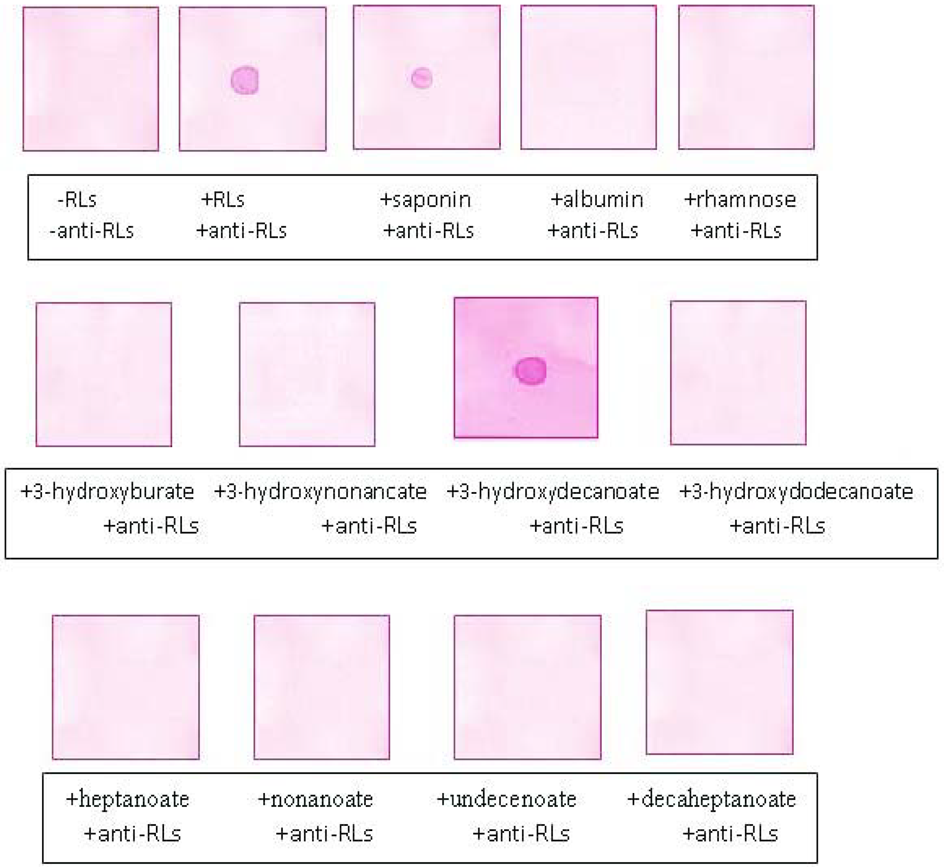 Antibodies 02 00501 g005