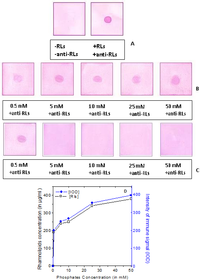 Antibodies 02 00501 g006 200